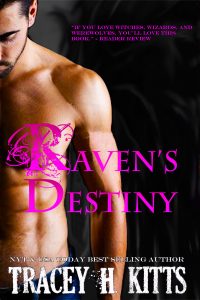 Book Cover: Raven's Destiny
